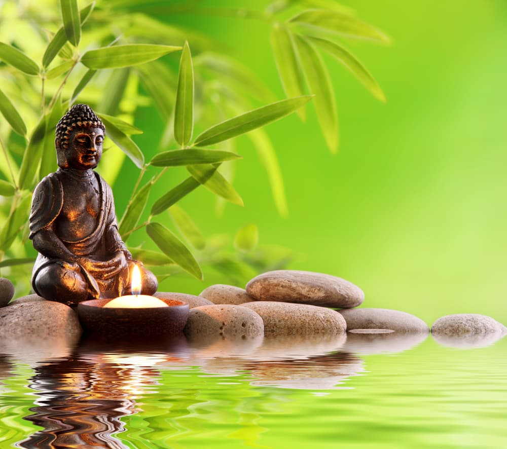 La energía cósmica entra en nuestro sistema a través de los chakras, calmando la mente y desarrollando la paz interior.