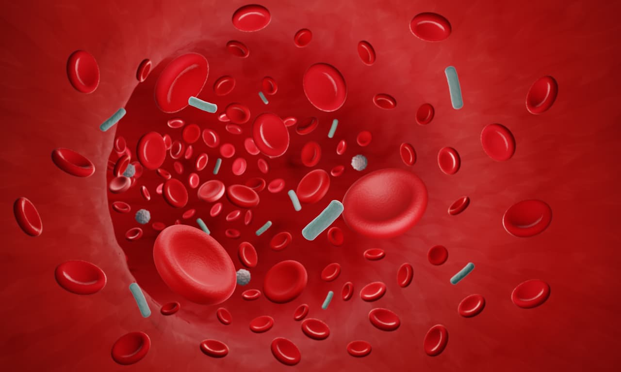 <h3 class="cms-H3-H3">22. Septicemia (excepto en casos de parto)</h3>
<br>
<br>🏥 
<b>Crecimiento en costo por caso de acuerdo con el Índice de Gastos Médicos: </b>3.42
<br>
<br>🏥 
<b>Aumento del gasto en los últimos 10 años registrados: </b>34.3%
<br>