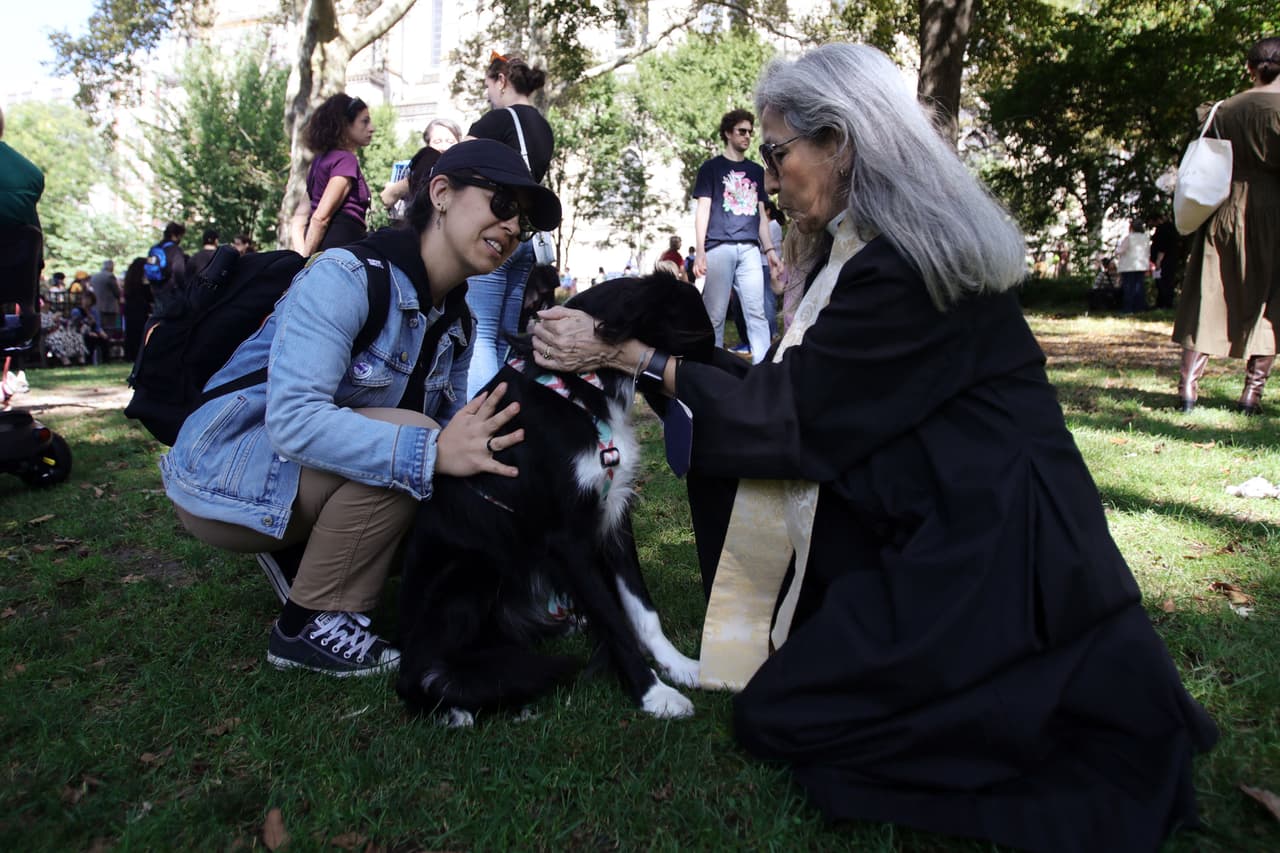 Este perro recibe tranquilamente la bendición de San Francisco de Asís.