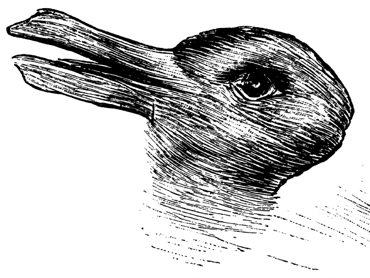 Otro cláscico: ¿pato o conejo?