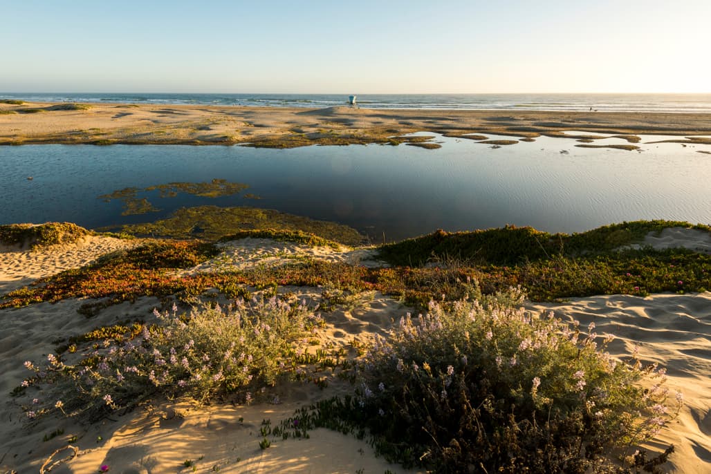 <b><a href="https://www.parks.ca.gov/?page_id=595" target="_blank">Pismo State Beach </a></b>
<br>En la costa central de California el desierto termina en la costa del Pacífico. Ahora este parque está cerrado como parte de las restricciones por el coronavirus. Sin embargo, puede ser un hermoso destino para visitar tras su reapertura.
<br>