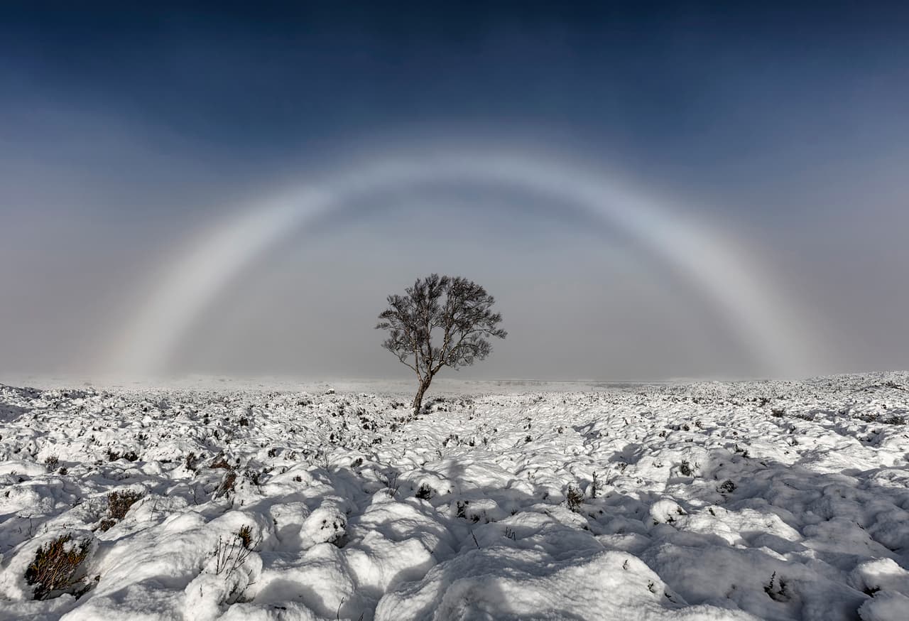 <b>‘Arco de niebla’</b>
<br>
<br>Esta fotografía finalista fue tomada durante el invierno en Escocia. “En un día frío a finales de noviembre de 2016, Melvin vio este arco de niebla mientras el Sol salía sobre el paisaje cubierto de nieve”, explicó el premio. 
<br>
<br>“Los arcos de niebla se forman de la misma manera que su primo el arco iris, pero son casi incoloros debido al pequeño tamaño de las gotas” añadió.
<br>