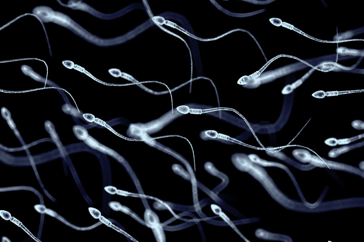El revolucionario anticonceptivo masculino que detiene el nado de los espermatozoides