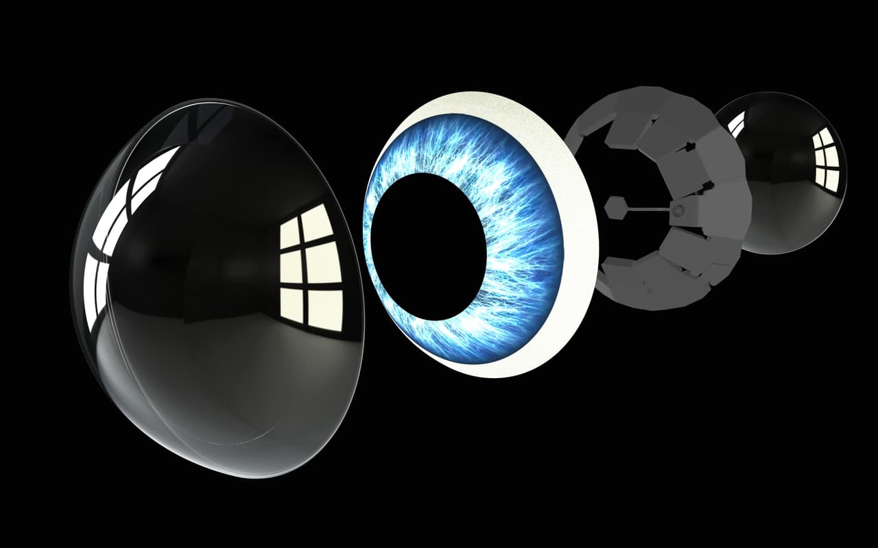 La empresa tecnológica 
<a href="https://www.mojo.vision/" target="_blank">Mojo Vision</a>, de Saratoga, California, desarrolló unos lentes de contacto que superponen información gráfica a lo que mira el usuario a través de ellos. Una pantalla inteligente del tamaño de un grano de arena proyecta imágenes en la retina, con información transmitida vía internet.
