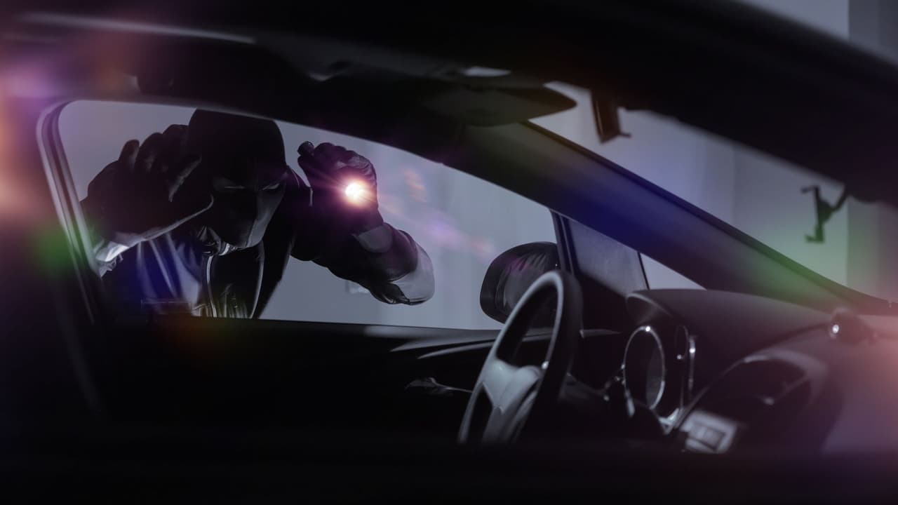 Ante el robo de autos con sistemas sin llave en Texas, 
<b>algunos dueños están recurriendo a métodos poco convencionales</b> para proteger sus vehículos, 
<b>muchos populares en redes sociales.</b> Pero, ¿qué tan efectivo es 
<b>guardar las llaves en el microondas</b>? Aquí te lo explicamos.