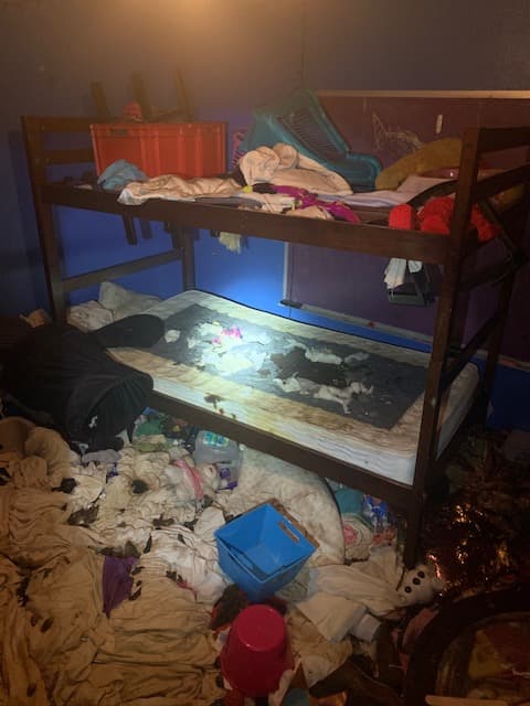 Las habitaciones estaban también desordenadas y sucias.
