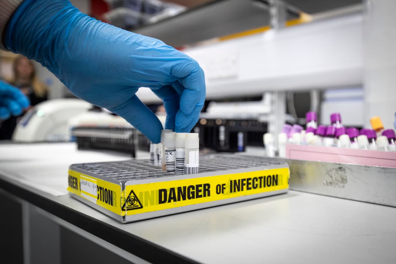 Hasta el momento, se han identificado tres nuevas variantes, que se producen por mutaciones del virus cuando su maquinaria de replicación comete un error.
