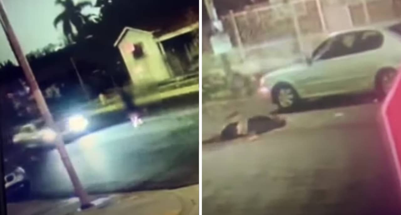 Cuatro personas lo vieron: buscan a conductores que atropellaron a un hombre en el sur de Los Ángeles