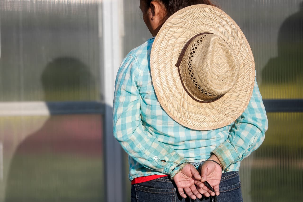 Una mujer con las manos atadas y su sombrero de trabajo espera las órdenes de las autoridades migratorias en Castalia, Ohio. 
<a href="https://www.univision.com/noticias/indocumentados/arrestan-a-114-inmigrantes-en-una-empresa-de-jardineria-de-ohio-la-mayor-redada-bajo-el-gobierno-de-trump">La redada de este martes </a>está entre las mayores operaciones realizadas por agentes de inmigración en un lugar de trabajo de los últimos años.