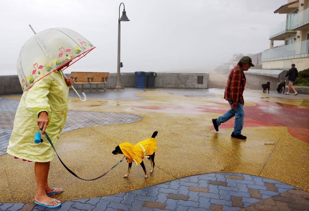 Hay una advertencia de inundaciones costeras y la recomendación es permanecer en lugares seguros. Lo mismo con nuestras mascotas.