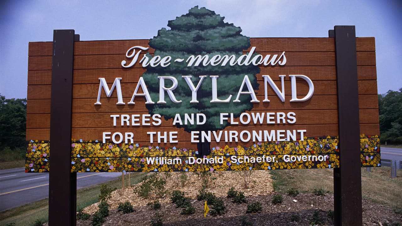 <h3 class="cms-h3-H3">3. Maryland (48)</h3>
<br>
<br>El estado número 48 en terminos de conveniencia para conducir en todo el país es también el 35to estado en la nación en términos de 
<b>costos de propiedad y reparación de vehículos</b>, el 48vo en 
<b>tráfico e infraestructura</b>, el décimo sexto en 
<b>seguridad vial</b>, y el 21ro en 
<b>acceso a vehículos y su mantenimiento</b>.