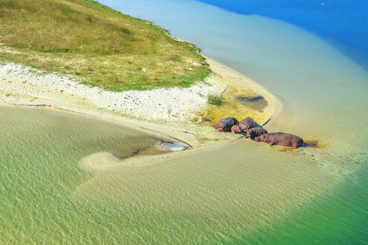 <b>Sudáfrica</b>
<br>
<br>La visita a este país lo pondrá en contacto con su variada geografía y podrá conocer programas que combinan el turismo con la conservación. Uno de ellos lo realiza el Parque de Humedales Isimangaliso (en la foto), que ofrece más de 12,000 puestos de trabajo y un programa de educación ambiental que involucra a 150 escuelas.
<br>