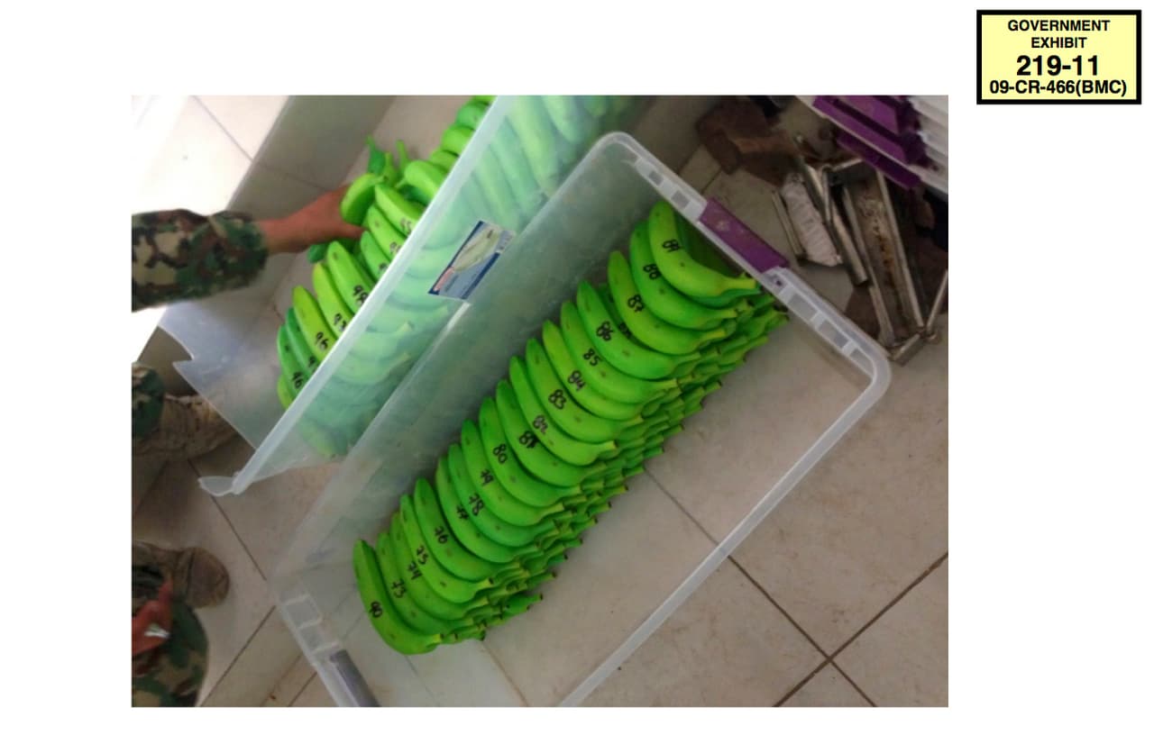 La Fiscalía mostró al jurado por medio de esta foto uno de los métodos usados por el cartel de Sinaloa para esconder y transportar droga: bananos de plástico. Fueron descubiertos durante una redada en Sinaloa.