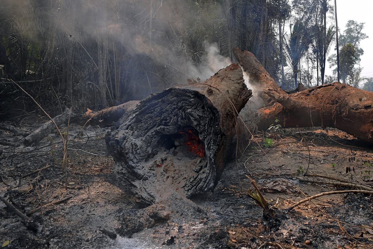 <b>Cifras oficiales muestran que 78,383 incendios forestales en Brasil este año.</b> El peor dato para desde 2013. Humo y cenizas de los árboles talados en los alrededores de Porto Velho, en el Amazonas en el centro-oeste de Brasil, este 24 de agosto de 2019. 
<br>