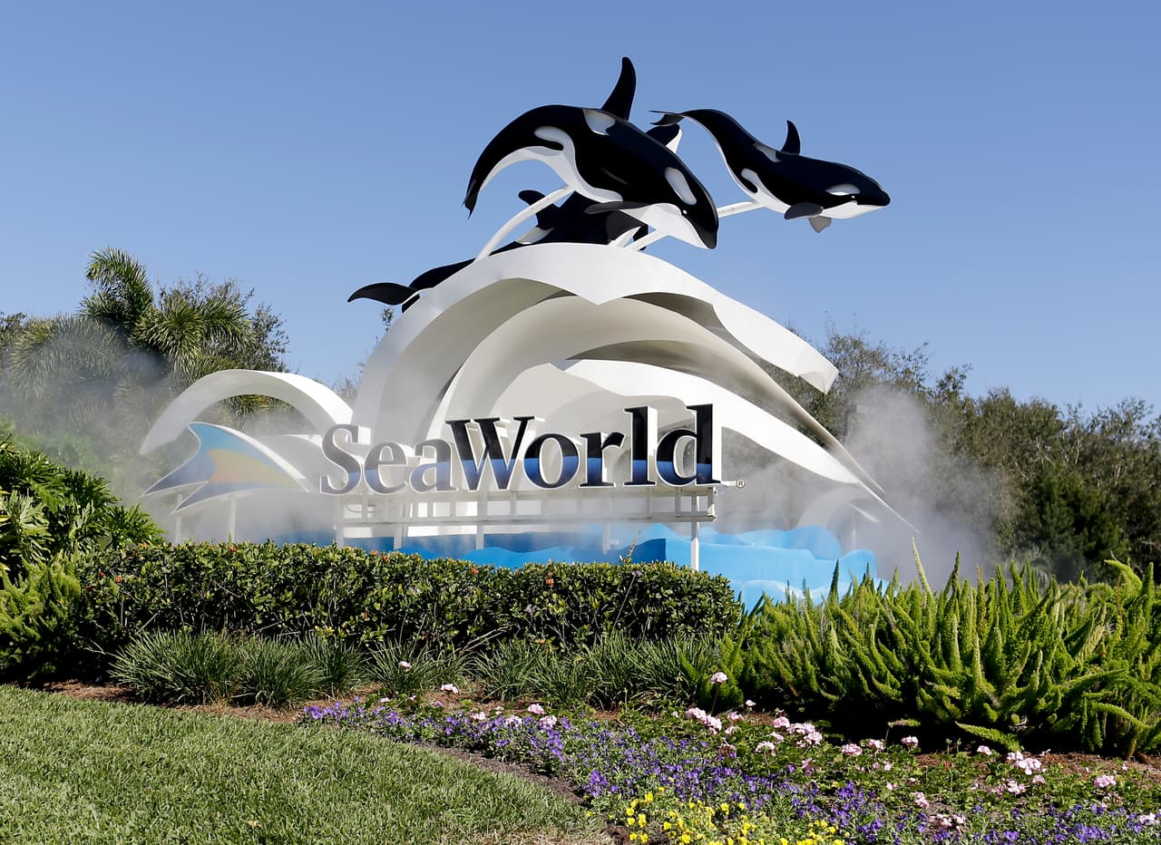 SeaWorld y Busch Gardens ofrecen descuentos para residentes de Florida