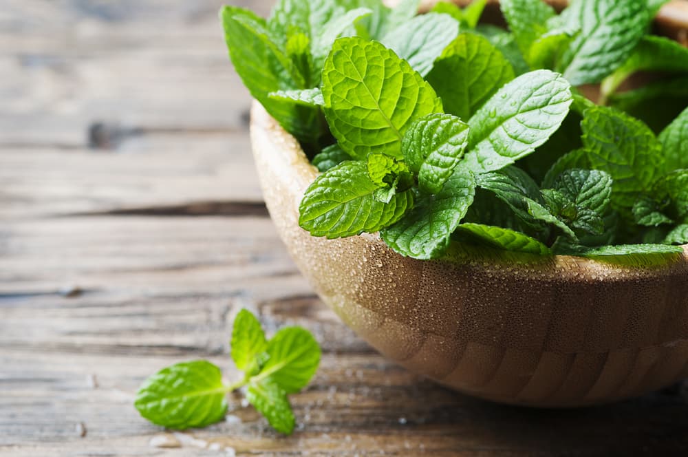 <b>Vaporizaciones de eucalipto o menta</b>. Ayudan a abrir los poros para poder extraer con facilidad la suciedad acumulada. Hierve dos tazas de agua con hojas de eucalipto o menta y deja que reposen durante tres minutos.
<br>