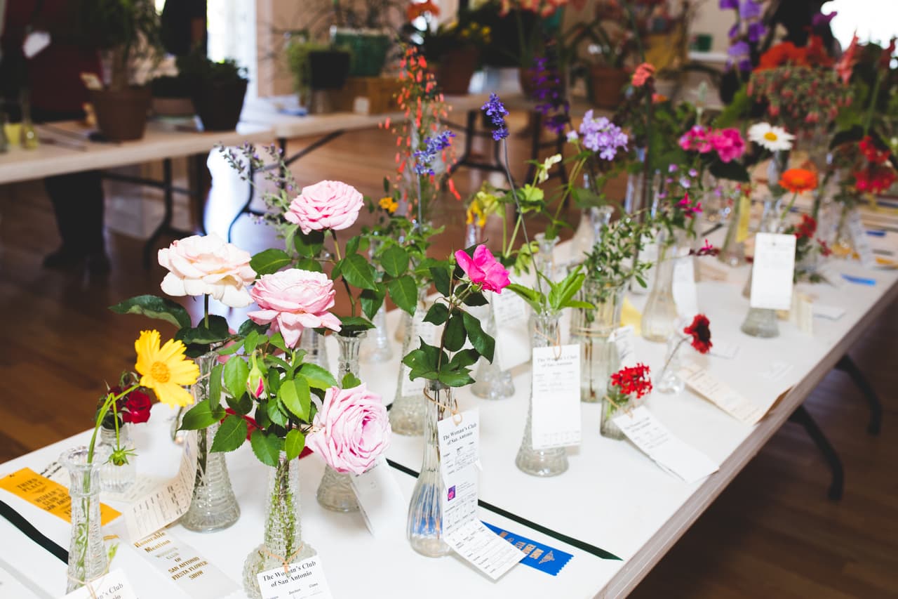 <h2 class="cms-H2-H2">Fiesta Flower Show</h2>
<br>
<ul>
 <li class="li1">Cuándo: 25 de abril</li>
</ul> 
<ul>
 <li class="li1">Hora: 14:00 horas - 17:00 horas</li>
</ul> 
<ul>
 <li class="li1">Dónde: Woodward House</li>
</ul> 
<ul>
 <li class="li1">Qué es: Evento con hermosos arreglos florales y demostración de horticultura</li>
</ul> 
<ul>
 <li class="li1">Costo: Gratis</li>
</ul>