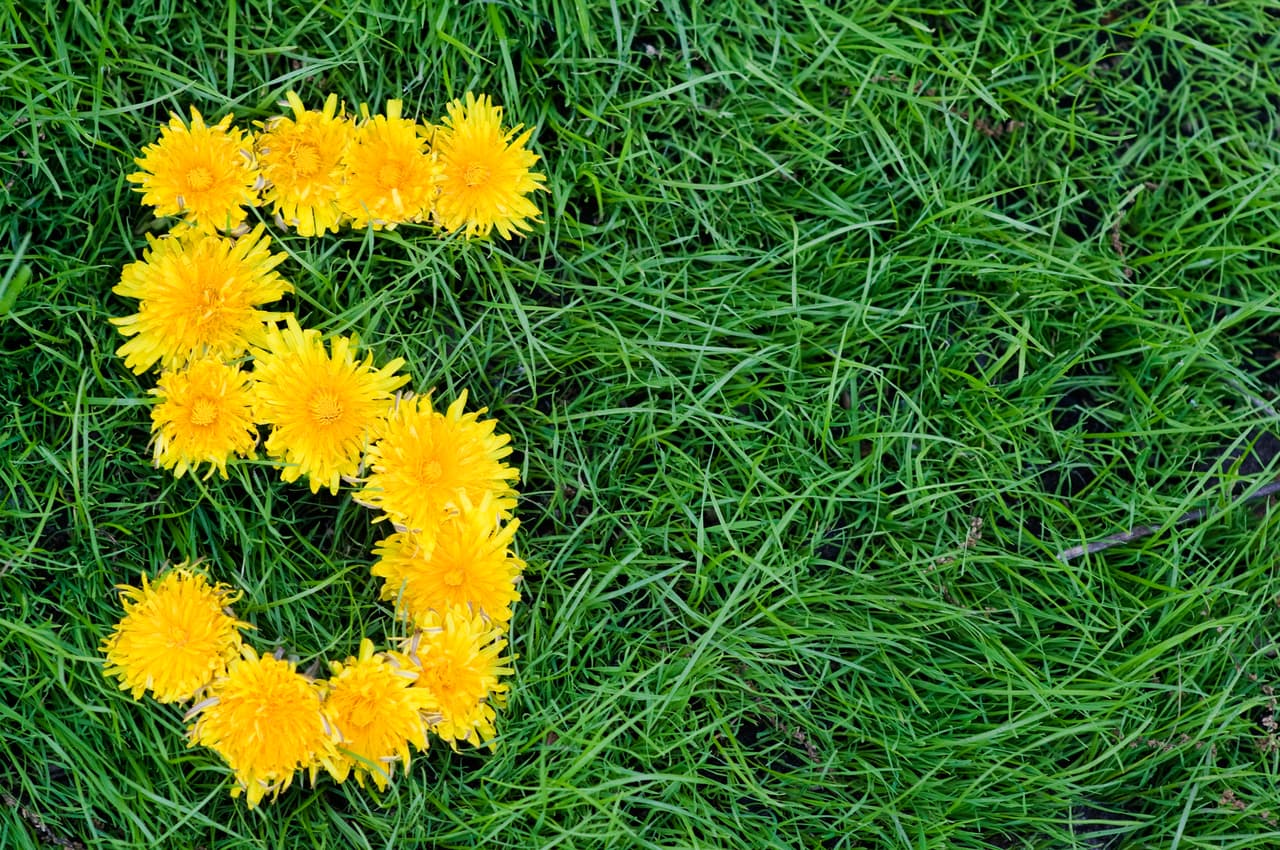 Al número 5 le corresponden las letras E N Ñ W.