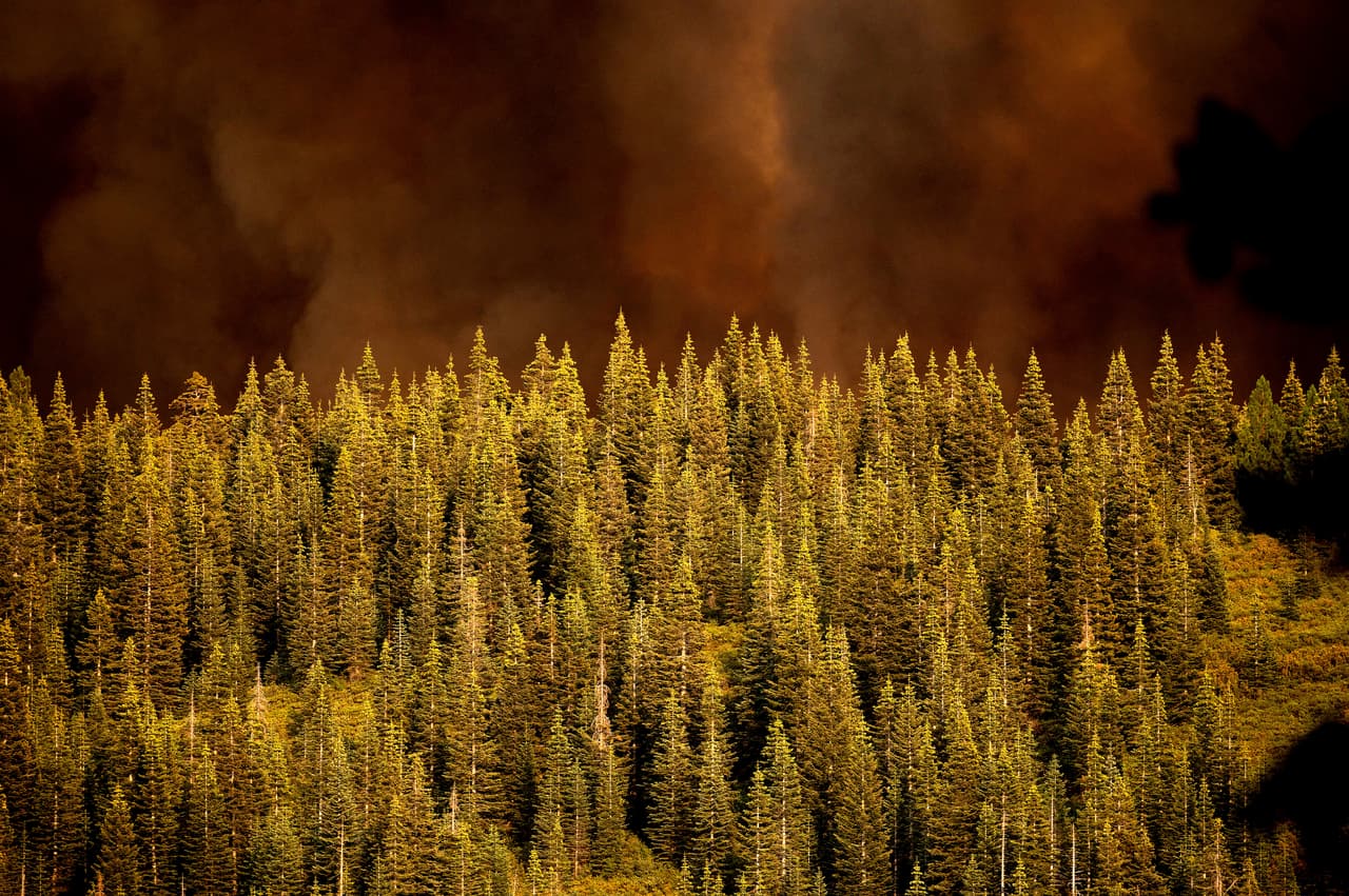 El 
<a href="https://www.univision.com/temas/incendios">incendio</a> Dixie estaba contenido en un 32% este domingo. Las condiciones, no obstante, fueron propicias para levantar las órdenes de evacuación y las advertencias para varias áreas remotas de los condados de Butte y Plumas. Las autoridades advirtieron que, con vientos impredecibles y combustibles extremadamente secos, el riesgo de brotes seguía siendo alto.