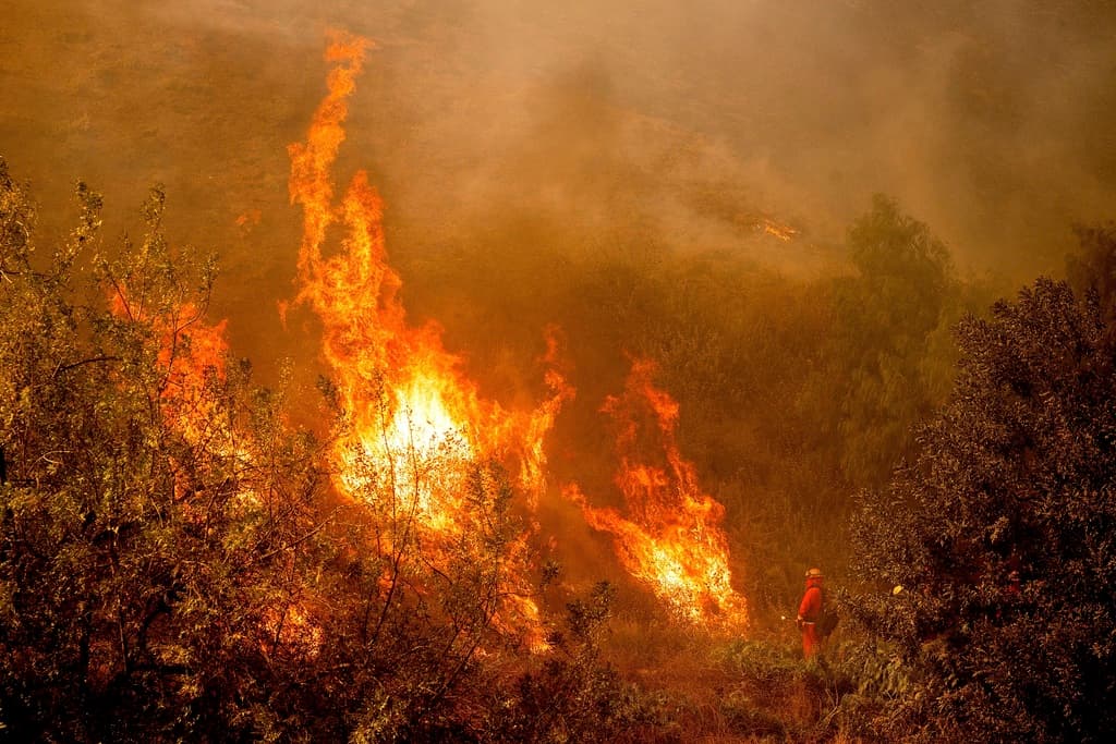 Al momento, el tamaño del incendio es de 32 millas cuadradas, equivalentes a 83 kilómetros cuadrados.