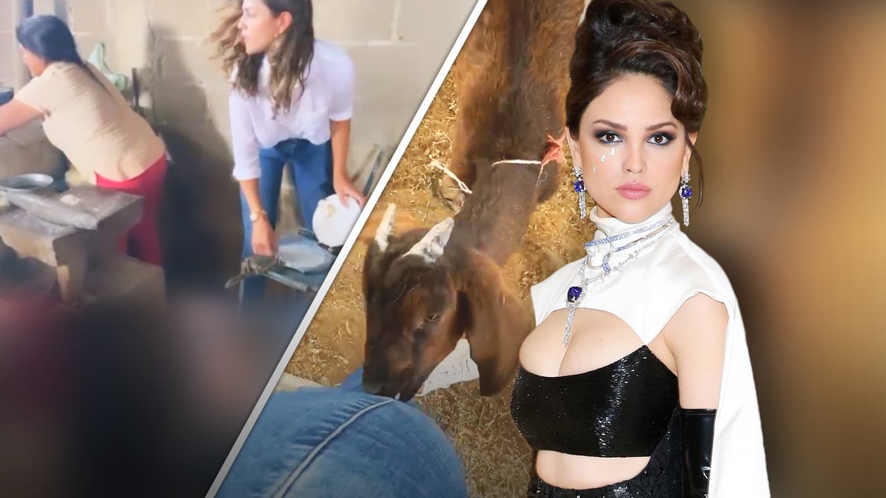 Eiza González deja Hollywood un rato: se pone a hacer 'gorditas' y una cabra la muerde en México