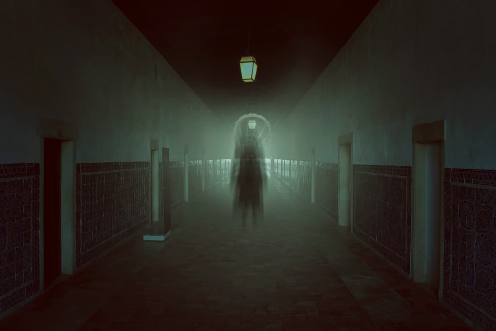 Los partidarios insisten que el tablero Ouija (güija) les permite comunicarse con personas fallecidas que están vagando como espíritus o con otras entidades, todo lo cual es una creencia que carece de fundamento científico.