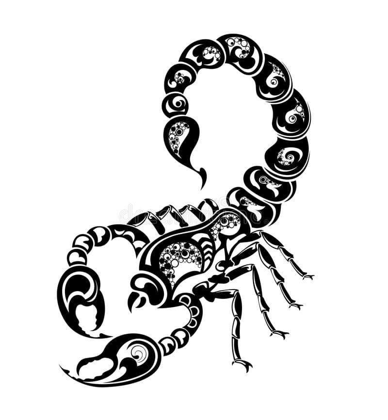 <b>Escorpión (del 23 de agosto al 19 de septiembre)</b>
<br>Son muy idealistas y simpáticos, sin embargo, en su forma de pensar tienen ideas rígidas y odian el cambio. Son analíticos y calculadores. Pueden ser muy buenos para escuchar a alguien, pero muy reservados para contar algo íntimo. Son activos y solo hablan cuando creen que tienen algo importante que aportar a la conversación.