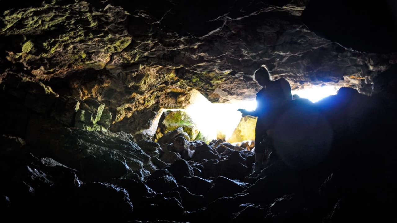 Conoce 
<b><a href="https://www.univision.com/local/arizona-ktvw/lava-river-cave-una-maravilla-volcanica-en-medio-de-un-bosque-en-el-condado-coconino-ebarizona-fotos">Lava River Cave</a></b>, una maravilla volcánica en medio de un bosque al norte de Arizona. Esta cueva fue descubierta por trabajadores madereros en 1915 y es considerada la más larga de su tipo en Arizona. Hoy en día cientos de personas vienen a disfrutar de 
<a href="https://www.fs.usda.gov/recarea/coconino/recarea/?recid=55122&actid=102" target="_blank">la historia geológica de este lugar. </a>
<br>