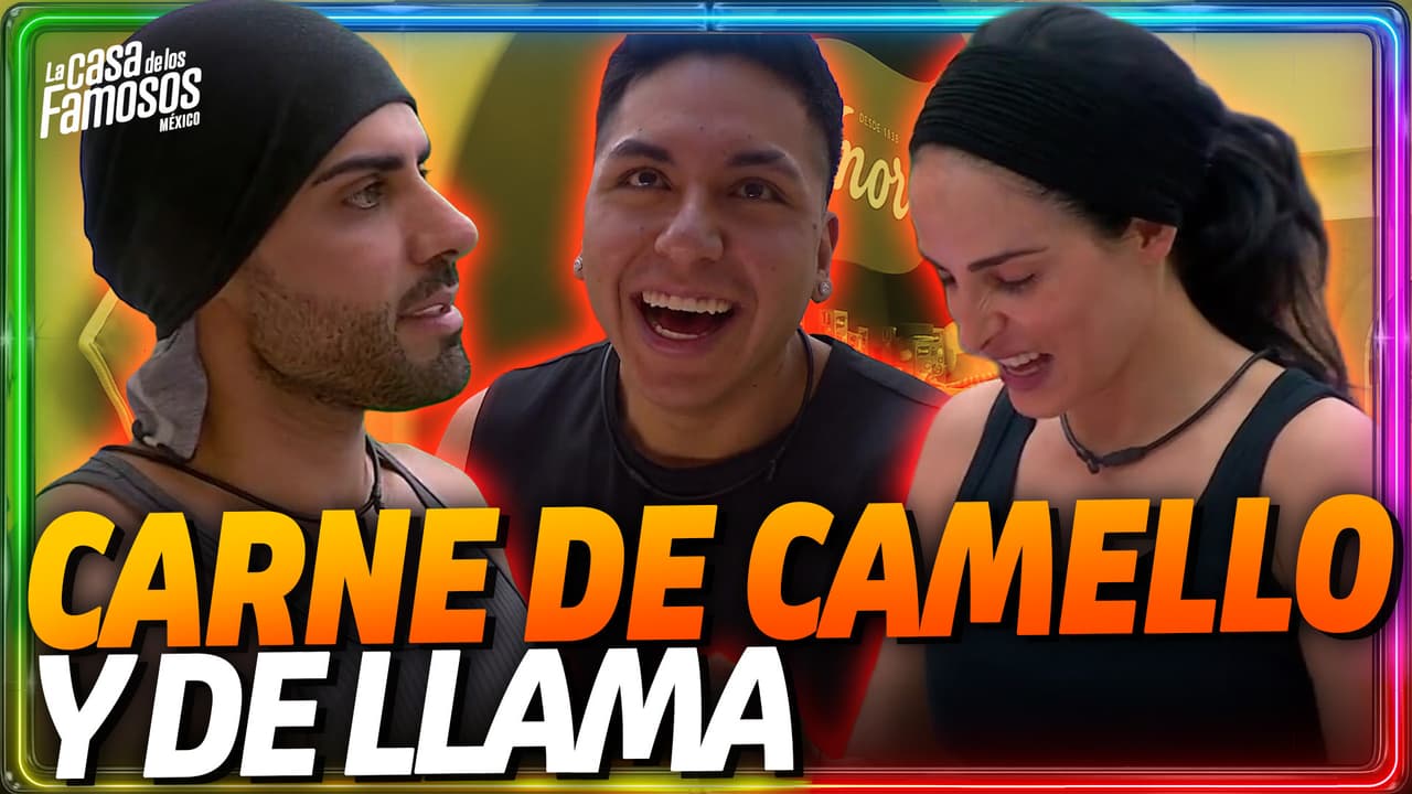 Masad y Ximena confiesan haber comido CARNE DE CAMELLO Y DE LLAMA
