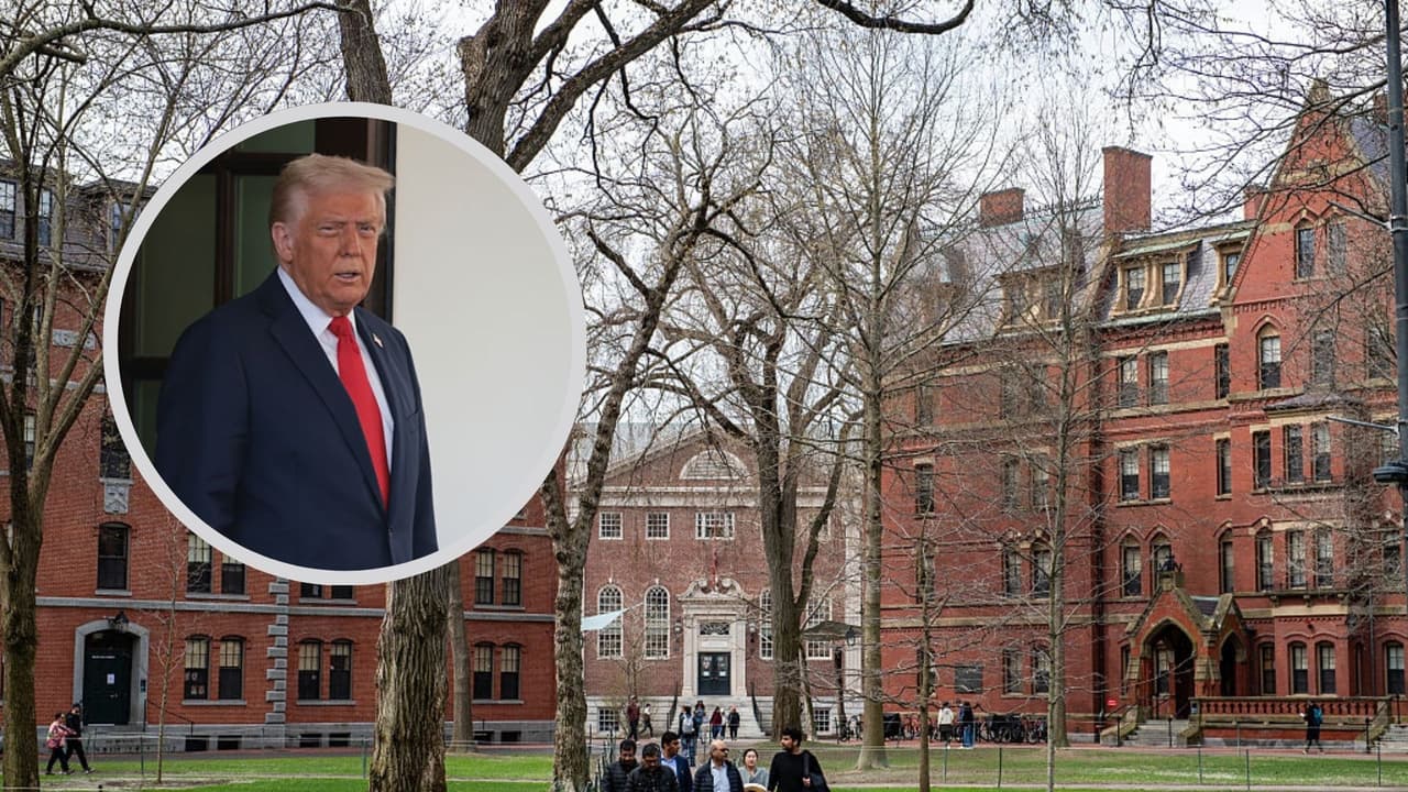 Cómo los ataques de Trump contra Harvard pueden tener “consecuencias para el futuro de la educación superior en EEUU”