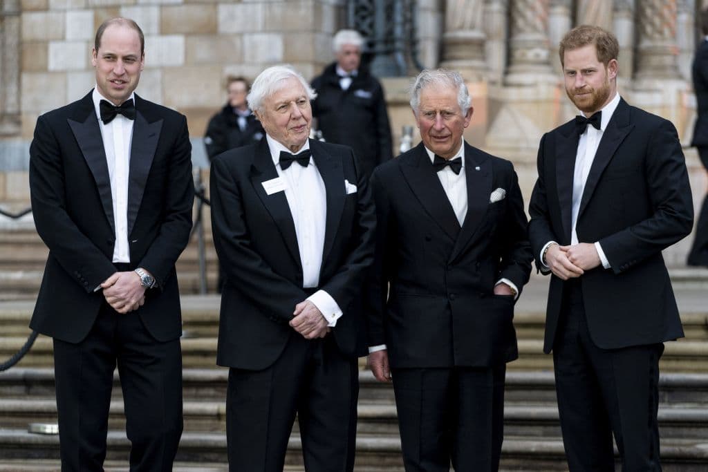 El príncipe británico Guillermo, duque de Cambridge, el naturalista, documentalista y locutor británico David Attenborough, el príncipe británico Carlos, príncipe de Gales y el príncipe británico Harry, duque de Sussex, posan a su llegada al estreno mundial de 
<i>Our Planet</i> en Londres el 4 de abril de 2019.