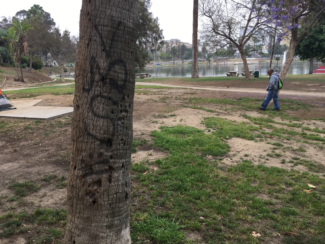 Insignias de la Mara Salvatrucha en el parque MacArthur.