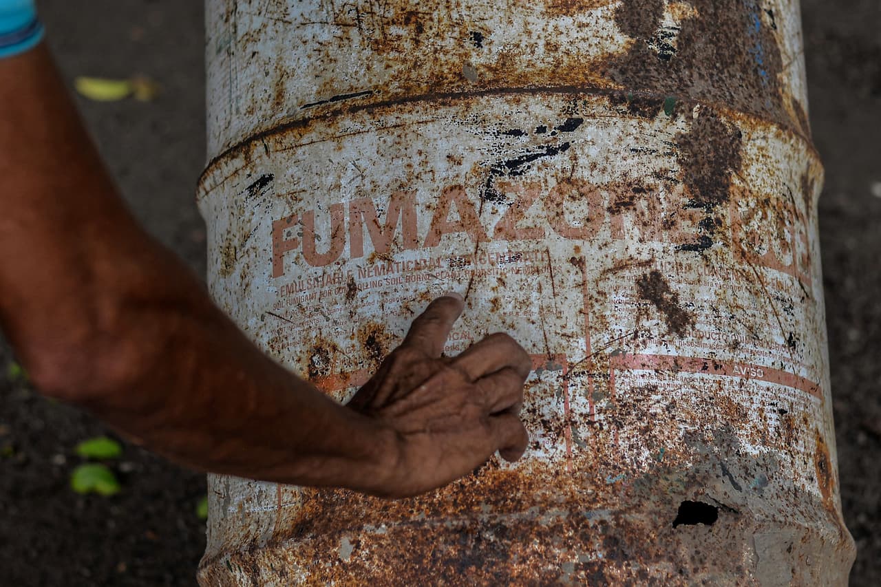 En el municipio de Tonalá aún se observan algunos barriles oxidados donde se envasaba el Nemagón, un producto usado como pesticida en las plantaciones de banano en el departamento de Chinandega, al noroeste de Nicaragua. 
<br>