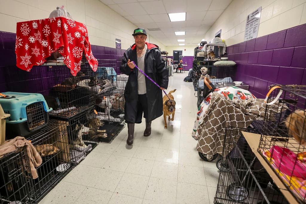 <b>De paseo en el refugio: </b>Logan Smith lleva a su perro Zak a visitar a algunas de las 283 mascotas registradas en el refugio de evacuación de la escuela secundaria River Ridge, en preparación para el huracán Milton, el miércoles 9 de octubre de 2024, en New Port Richey, Florida. (Foto AP/Mike Carlson)