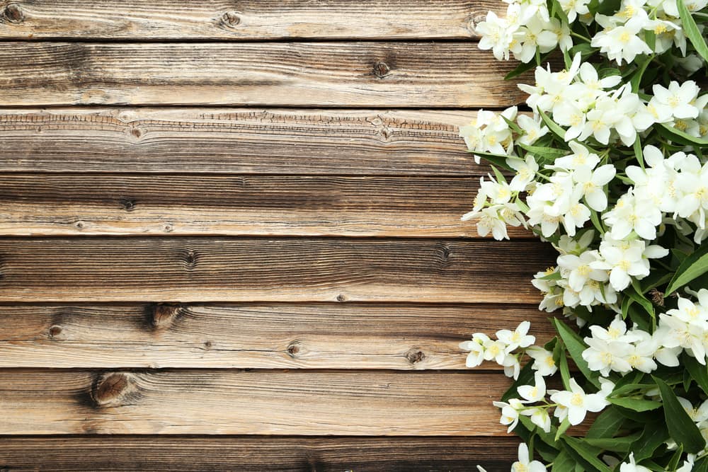 Además de regular el ciclo menstrual y aliviar dolores propios de esos días, se asegura que es muy buena para hacer más tolerables los dolores de parto, pues ayuda a calmar los estados de ansiedad y relajar el cuerpo cuando se sufre de mucho estrés.