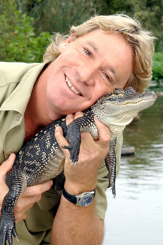 Irwin filmaba un documental en Australia en 2006 y tuvo un acercamiento al animal, pero la mantarraya lo atacó y no causó su muerte.