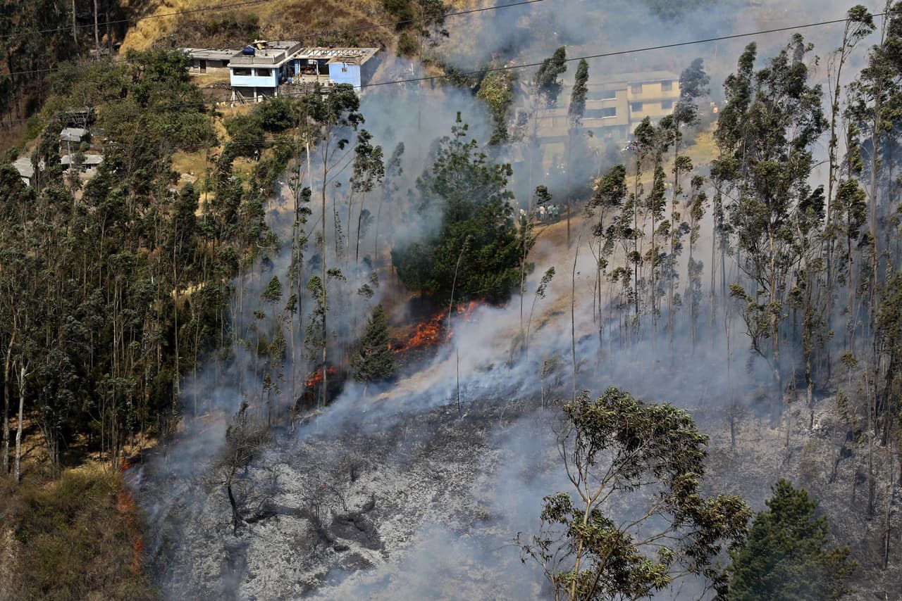 Aunque la pérdida de bosque se ha reducido en las últimas décadas en América Latina, la Organización de las Naciones Unidas para la Alimentación y la Agricultura (FAO) denuncia que entre 2010 y 2015 se perdieron más de dos millones de hectáreas de cobertura forestal. Perú es uno de los países que más sufrió por ese problema en septiembre de 2015.