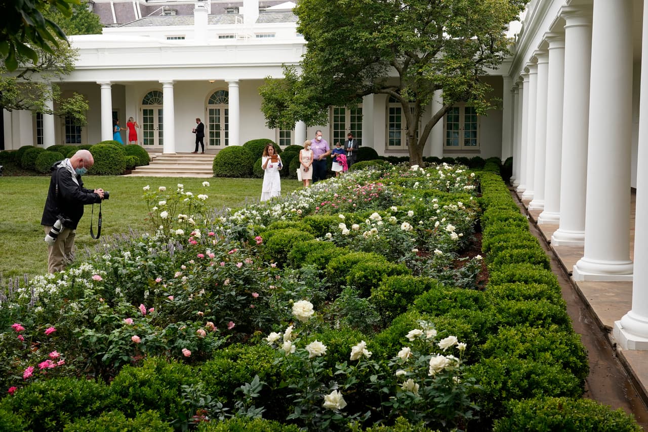 Una docena de árboles de manzano silvestre que se hallaban en el lugar fueron removidos y serán replantados en otros lugares de los amplios jardines de la mansión de la Avenida Pennsylvania.