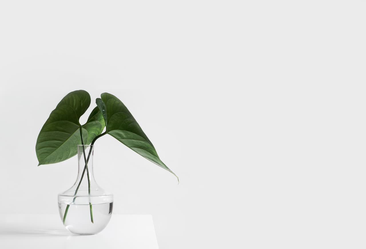 <b>La ecoterapia frente a lo virtual </b>
<br>Nuestras
<b> </b>experiencias tienden a ser más virtuales que reales y eso tiene consecuencias negativas para la salud, como el incremento del estrés. Por esta razón, la “ecoterapia” es un campo de estudio en ebullición. Lo que recomienda, en esencia, es muy simple: nos conviene caminar descalzos en la tierra y consumir menos Netflix.