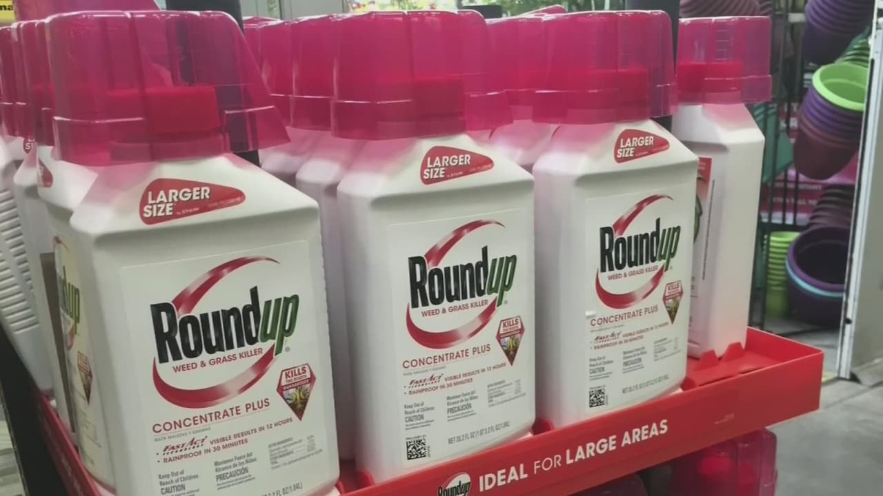 Segundo golpe a Monsanto: un jurado considera que el herbicida Roundup es cancerígeno