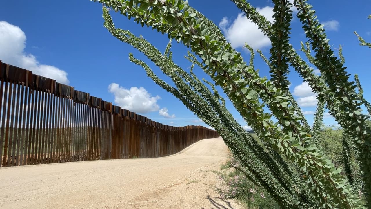 Este es el panorama del desierto en esta temporada de monzón en la frontera de Arizona.