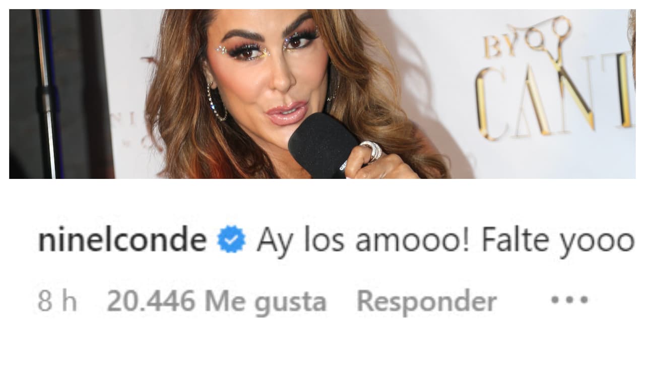 Ninel Conde también alzó la mano: 
<b>"Falté yo",</b> dijo la artista, quien en la telenovela interpretó a Alma Rey.