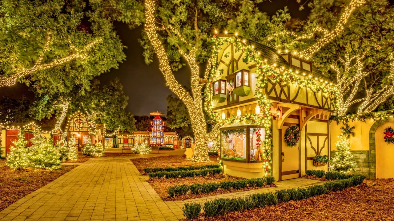 <b>Árbol Musical Gigante:</b> El enorme árbol navideño de 50 pies de altura es una de las estrellas del evento. Con más de 42,000 luces multicolores, este árbol ilumina los jardines al ritmo de villancicos, creando un espectáculo que fascina tanto a niños como a adultos. 
<br>
<b>La Histórica Casa DeGolyer: </b>Este 2024, la temática es «A Della Robbia Holiday», una propuesta inspirada en el arte florentino del siglo XV. Diseñada por el renombrado Michael Hamilton, esta exhibición combina sofisticación y calidez navideña, ideal para quienes buscan algo diferente.