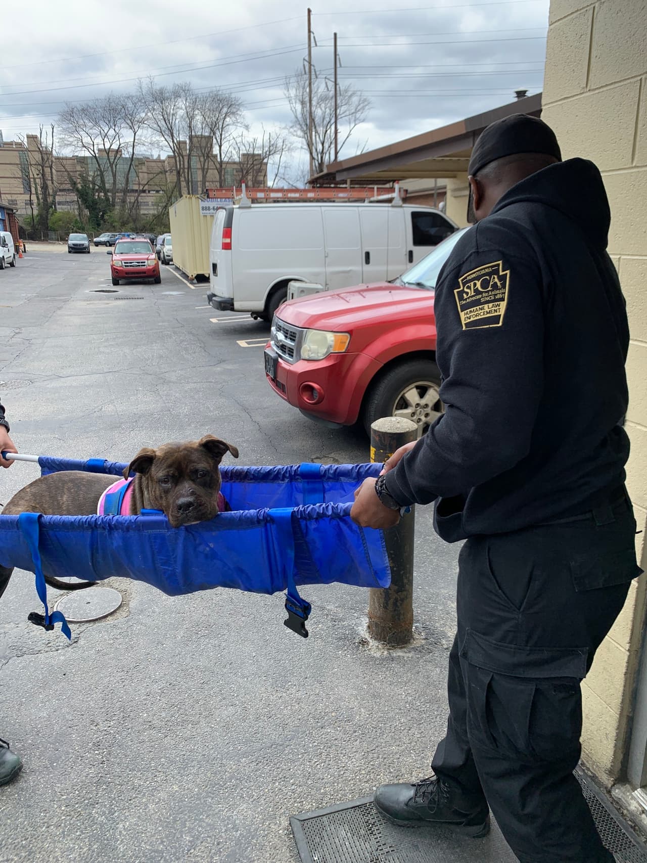 Los investigadores del 
<b>Equipo de Cumplimiento de la Ley Animal de la Sociedad Protectora de Animales de Pensilvania </b>creen que al perro le dispararon inicialmente en la calle y se arrastró hasta el pórtico de una casa cercana. Luego, un buen samaritano encontró al perro en los escalones de la entrada de la casa.