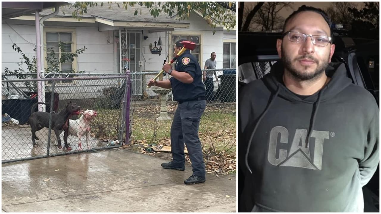 Christian Moreno, el dueño de los perros, está en la cárcel acusado de los delitos de ataque de perro peligroso resultando en la muerte y de lesiones a un adulto mayor por negligencia criminal.
<br>