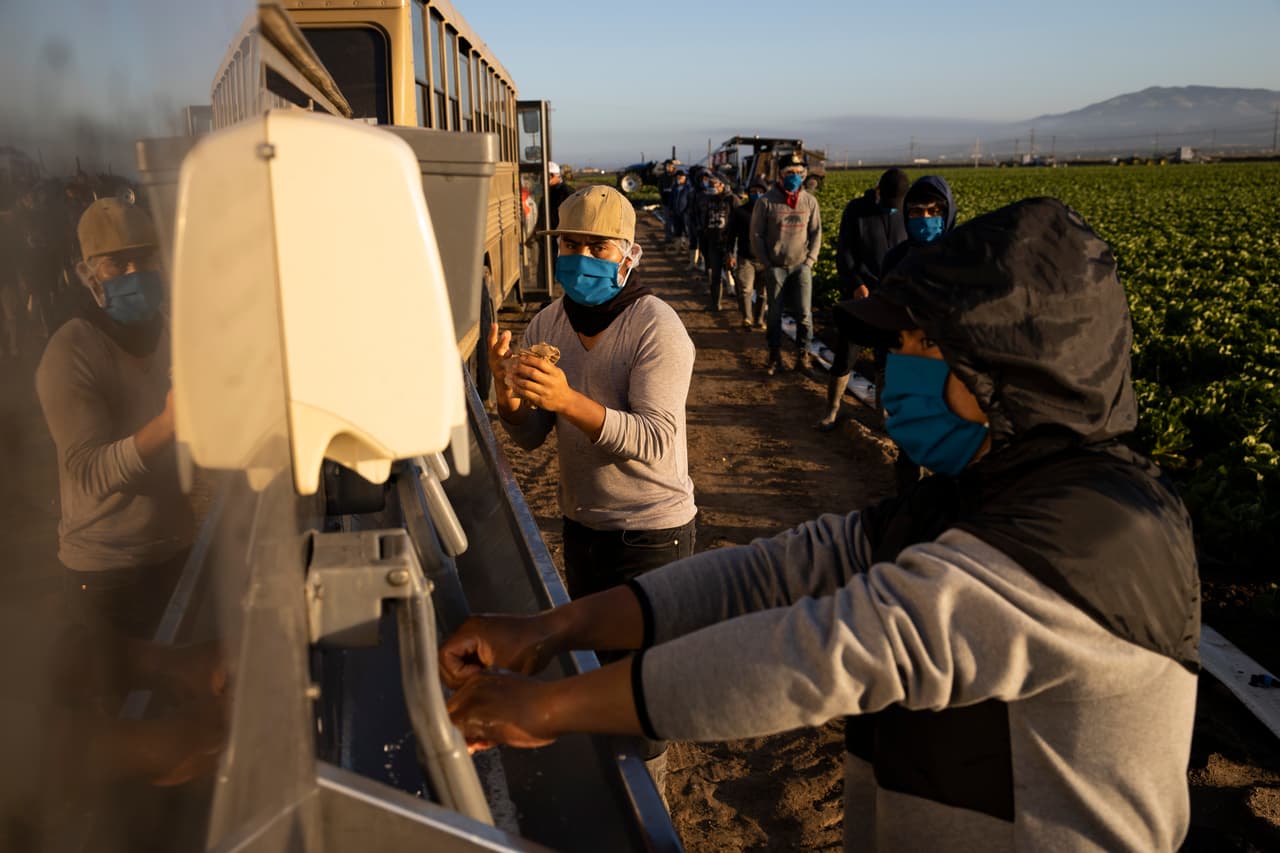 Qué impacto tiene la decisión de inmigración de borrar los registros E-Verify de más de 10 años