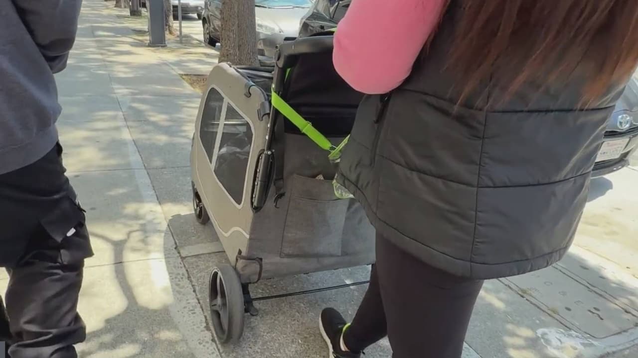 “¿Qué pasa con nosotros?”: crece preocupación en familias sin hogar en San Francisco