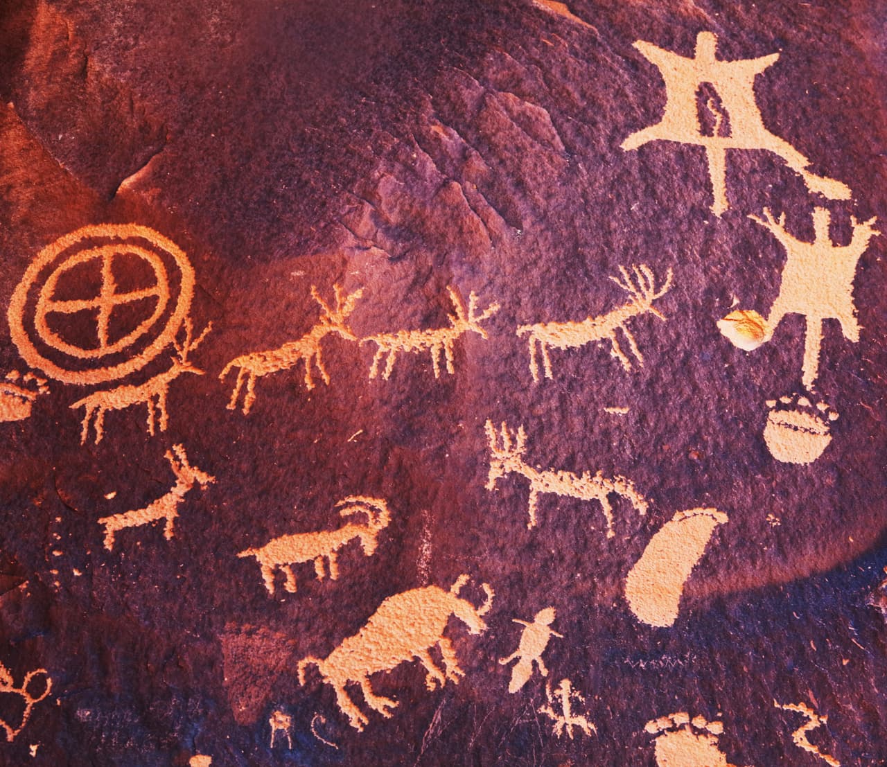 Los prehistoriadores han estimado que el 80% de estas pinturas tienen forma de animales, y de hecho, si representación se refiere más a una devoción religiosa que a cuestiones puramente estéticas.