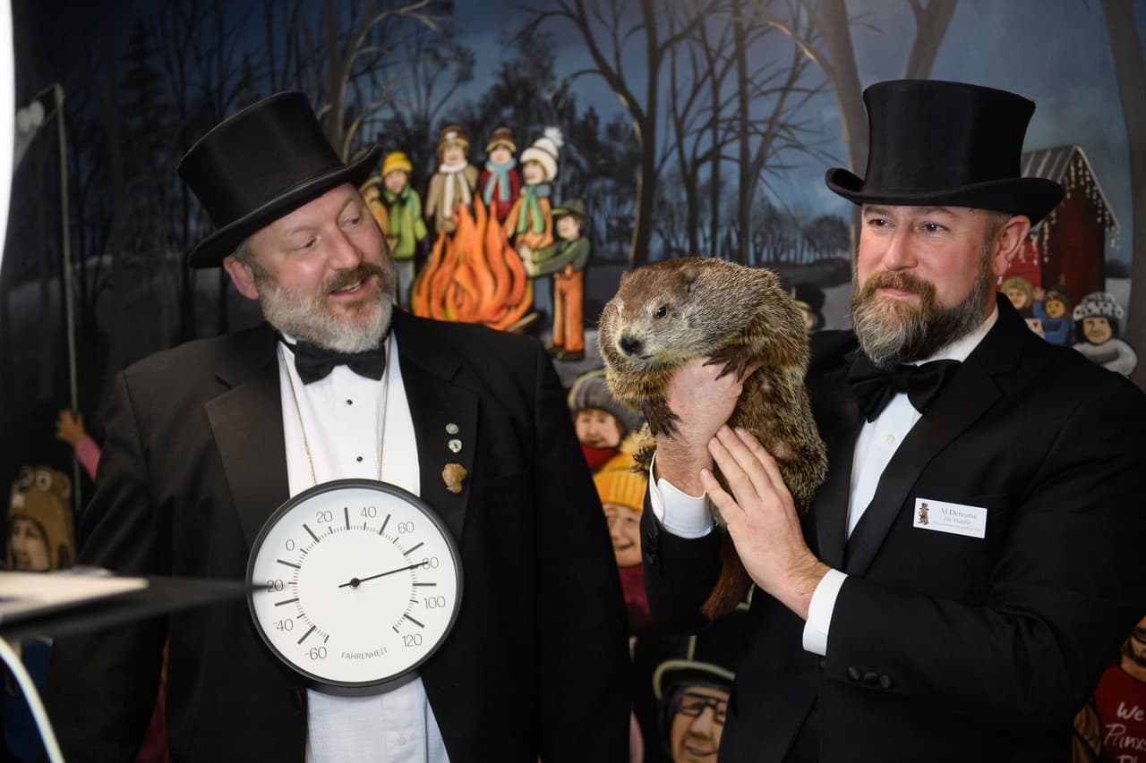 <b>Dicen que las predicciones de Punxsutawney Phil son 100% precisas</b>: Seamos claros, tomados al pie de la letra, no lo son. Las predicciones en realidad están más equivocadas que correctas. Pero el 
<b>Punxsutawney Groundhog Club </b>señala que las predicciones no son geográficamente específicas. Entonces, si Phil "predice" un largo invierno, probablemente sea cierto, en algún lugar del mundo.
