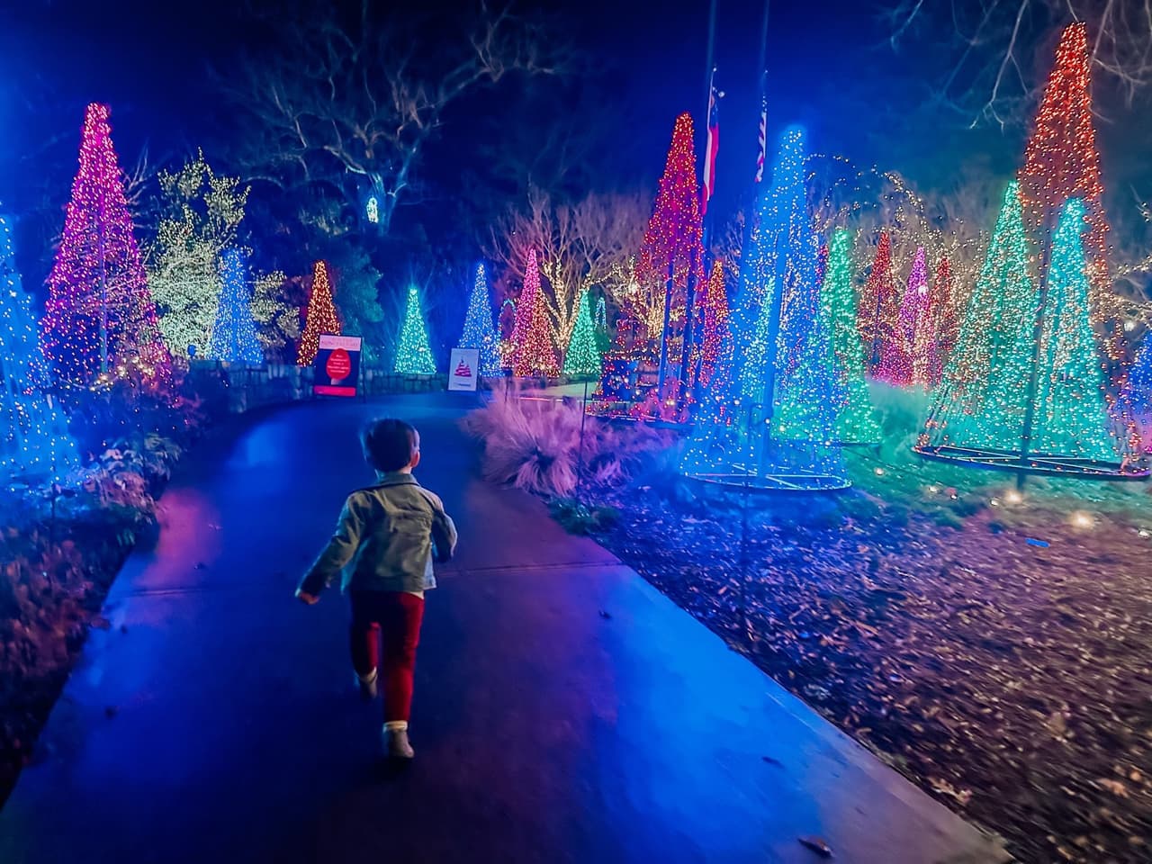 <b>Winter WonderLights</b>
<br>
<b>Fechas</b>: 22 de noviembre al 7 de enero de 2024
<br>
<b>Lugar</b>: State Botanical Garden of Georgia. 2450 S. Milledge Ave. Athens, GA
<br>
<b>Sitio web</b>: 
<a href="https://botgarden.uga.edu/wonderlights/">https://botgarden.uga.edu/wonderlights/</a> 
<br>
<br>Camina a través de exhibiciones de luces brillantes, que incluyen un Jardín de las Delicias, una Plaza Cone Tree y un Candy Cane Lane, y compra en el mercado navideño.